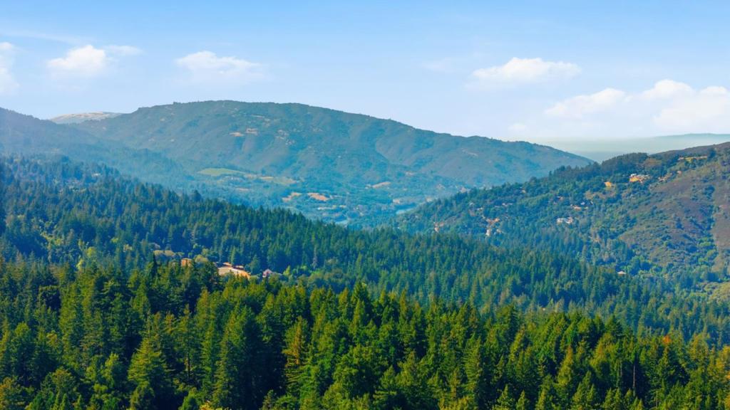 https://media.crmls.org/mediaz/be91dadf-6962-4291-b093-32cfe25d0977.jpg?preset=X-Large