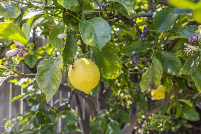 Image 25 of 57 For 9417 Petit Court