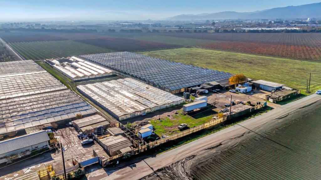 MLS #ML81996407 img 24