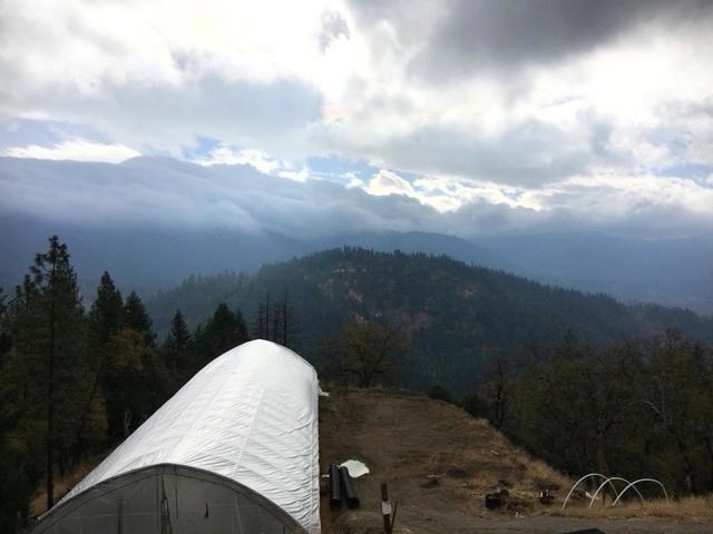 1900 Devils Gulch Road, Hayfork CA: https://media.crmls.org/mediaz/beaeb03c-4e23-4075-9264-fc5ad493659e.jpg