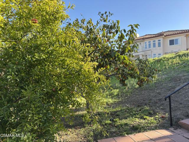 7111 Los Coyotes Place, Camarillo CA: https://media.crmls.org/mediaz/beaffcf2-f2cf-4d7e-8244-7fa6a5882191.jpg