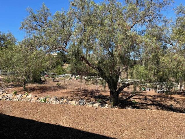15176 Vali Hai Rd, Poway CA: https://media.crmls.org/mediaz/beb1aec2-0817-40d4-a09b-e4f458d729c2.jpg