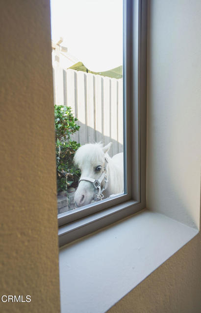 2321 Pima Lane, Ventura CA: https://media.crmls.org/mediaz/beb5e76b-177f-4cdc-a4d2-fa531d5ac548.jpg