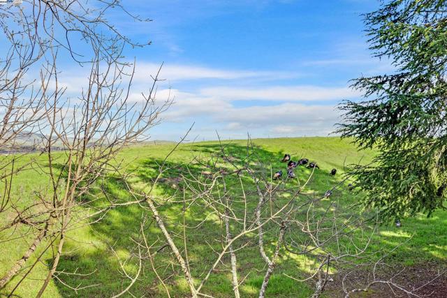 254 Eastridge Dr, San Ramon CA: https://media.crmls.org/mediaz/bebfcc59-f6cf-4b0e-a34d-83b50f1465bf.jpg