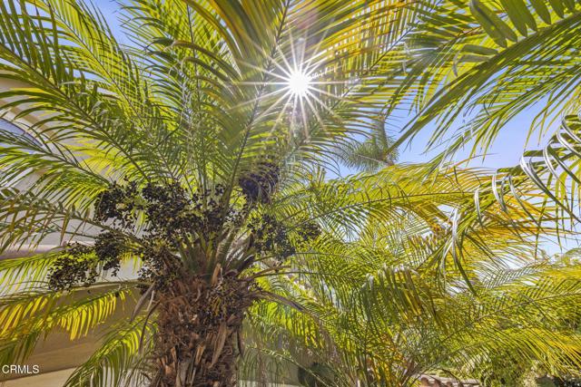 Detail Gallery Image 58 of 78 For 2113 Doral Ct, Oxnard,  CA 93036 - 4 Beds | 3/1 Baths