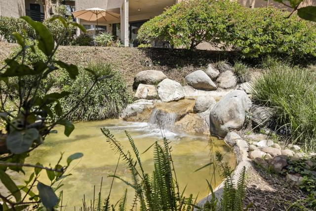9725 Mesa Springs Way, San Diego CA: https://media.crmls.org/mediaz/bec4663f-7e88-486f-a5e3-d5ab0fabcceb.jpg