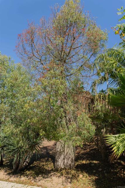 Detail Gallery Image 27 of 28 For 30427 Circle R Ln, Valley Center,  CA 92082 - 5 Beds | 4 Baths