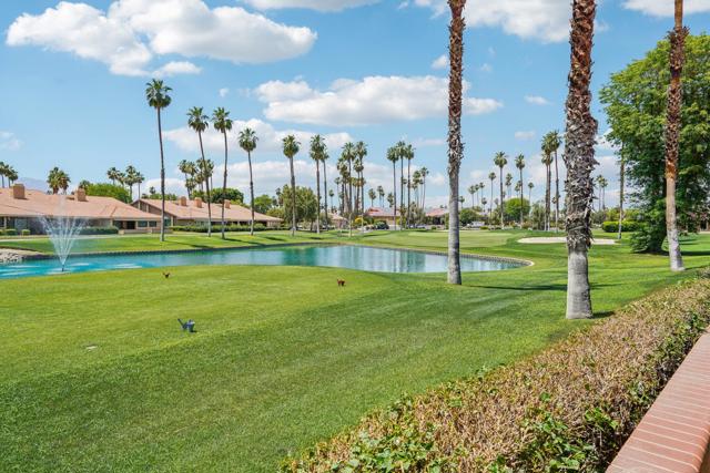 211 Camino Arroyo S, Palm Desert CA: https://media.crmls.org/mediaz/bedcb54c-31a0-4c66-a459-ad8ca165b581.jpg