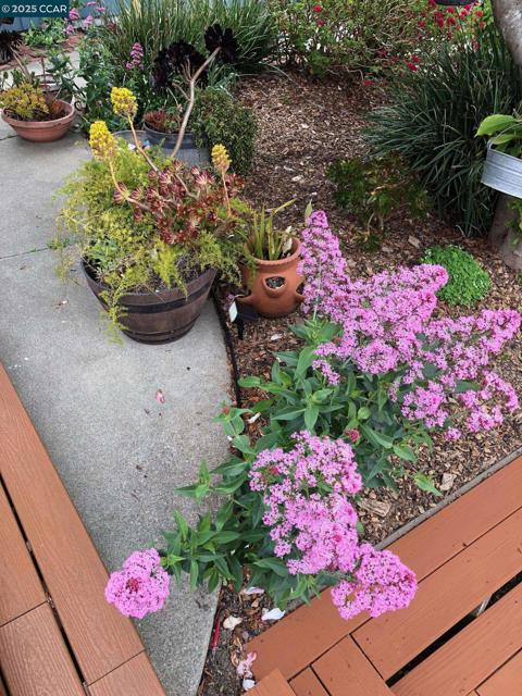 1502 Hillcrest Road, San Pablo CA: https://media.crmls.org/mediaz/bee138f5-6739-4cf8-8fe5-61065abe9658.jpg