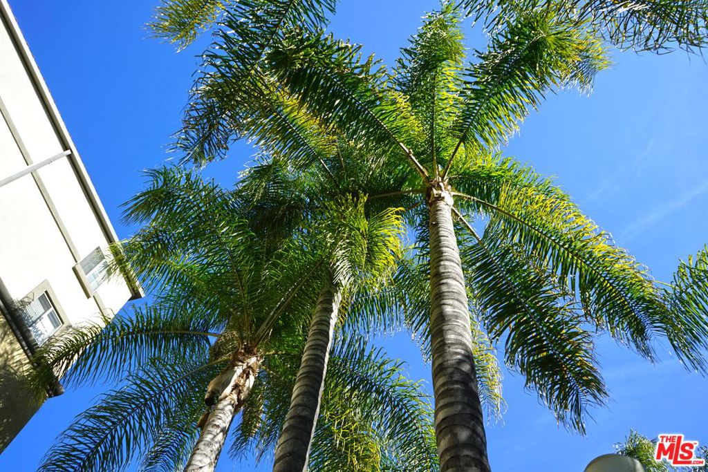 MLS #25594277 image #28