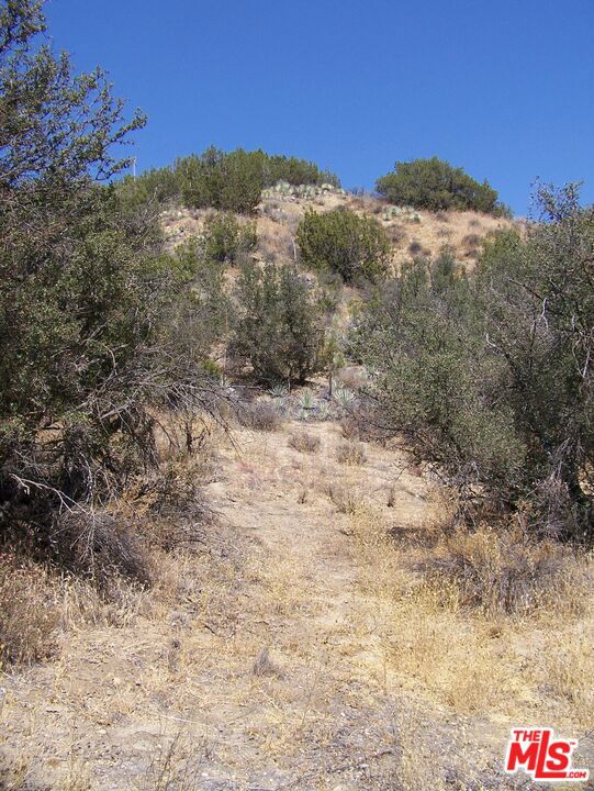0 Apn 147-080-005, New Cuyama CA: https://media.crmls.org/mediaz/bef9e4b5-505a-4deb-9708-7489269a0a0c.jpg
