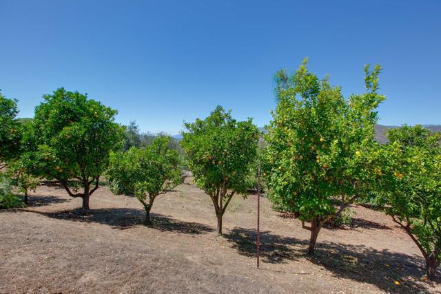 Detail Gallery Image 32 of 43 For 18818 Los Hermanos Ranch Road, Valley Center,  CA 92082 - 3 Beds | 2/1 Baths