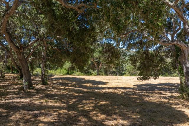 4 Goodrich Trail (Lot E13), Carmel CA: https://media.crmls.org/mediaz/befbaf13-0548-415a-952b-611bc33d738b.jpg