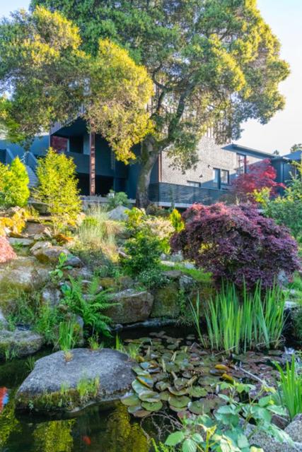 12 Las Aromas, Orinda CA: https://media.crmls.org/mediaz/befcfd42-b894-4aad-a66e-897c5ec82279.jpg
