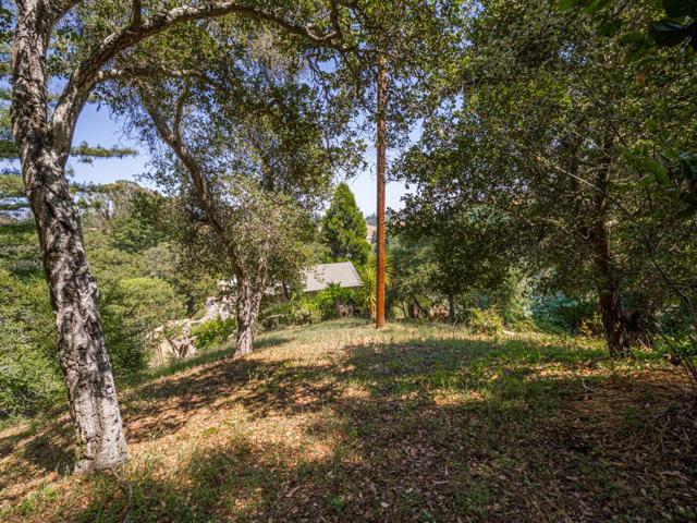 4151 Freedom Boulevard, Aptos CA: https://media.crmls.org/mediaz/bf120877-0aed-46a9-b1fd-5ce63fea7f4e.jpg