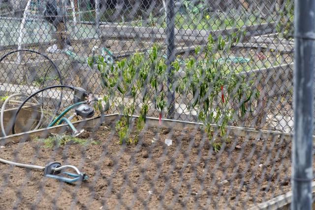 1016 Shoreline Drive, San Mateo CA: https://media.crmls.org/mediaz/bf164c8b-4e51-4be8-94e4-5c82990067ab.jpg