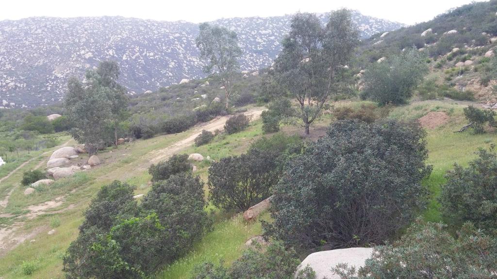 MLS #250037625SD image #7