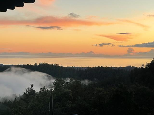 132 Pax Place Court, Aptos CA: https://media.crmls.org/mediaz/bf1c7089-a1c9-418f-8574-566f79148ebe.jpg