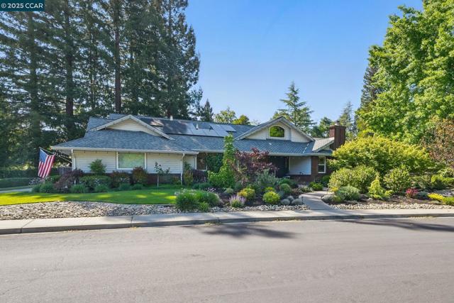 235 Saint Paul Dr, Alamo CA: https://media.crmls.org/mediaz/bf1cb84c-0458-4cb1-b11d-de4c6c05b1fe.jpg