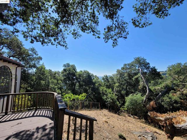 40 Hilldale Ct, Orinda CA: https://media.crmls.org/mediaz/bf1d4b73-d813-4d6b-93dd-301b9a24e442.jpg