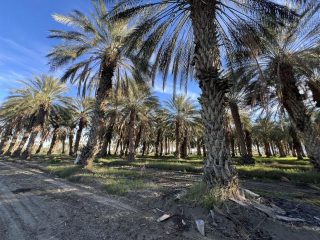 0 Nwc Pierce St & Ave 64, Thermal CA: https://media.crmls.org/mediaz/bf1f85b9-97ac-434a-b756-4d18850bb579.jpg