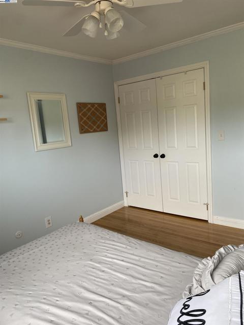 5186 Greenmeadow Dr, Concord CA: https://media.crmls.org/mediaz/bf20bc5f-ba1f-43da-8895-97e69461abfb.jpg