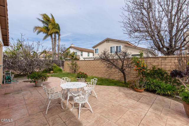 Gorgeous backyard