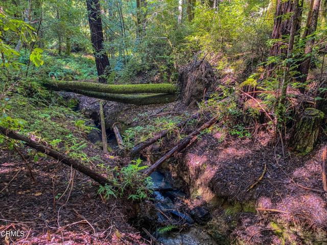 0 Irmulco Road, Willits CA: https://media.crmls.org/mediaz/bf2ca198-b48a-4c31-8bb4-a4b031b94da5.jpg