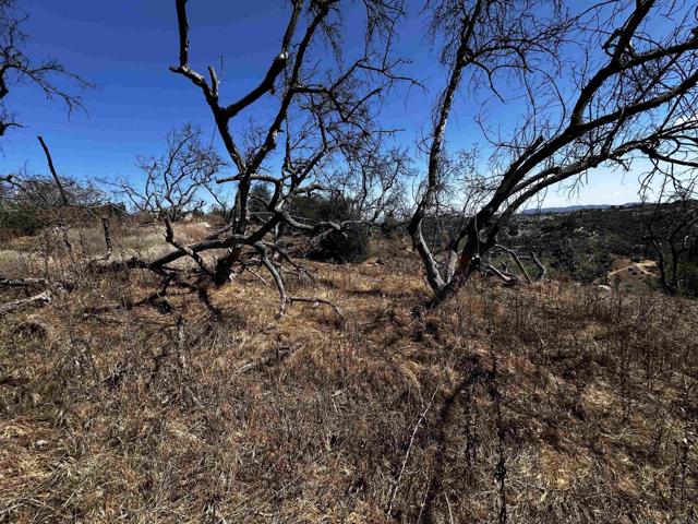 40 Oak Glen Road, Valley Center CA: https://media.crmls.org/mediaz/bf3b58eb-68ad-49af-9727-e6274720a533.jpg