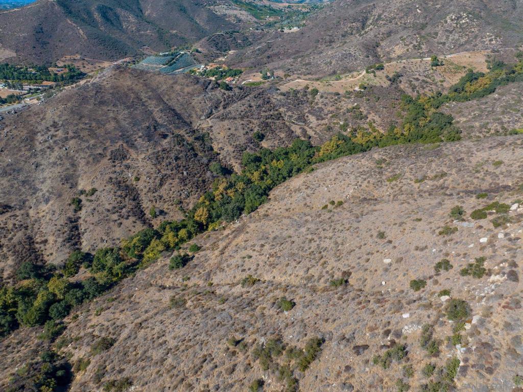 MLS #250022588SD img 8