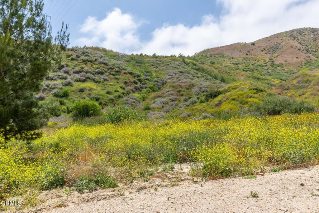 https://media.crmls.org/mediaz/bf50253b-1f8e-4c3a-9321-f3f0c99fac9b.jpg?preset=X-Large