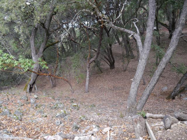 39450 Tassajara Road, Carmel Valley CA: https://media.crmls.org/mediaz/bf543527-c15b-4a35-a447-d4b93d848004.jpg