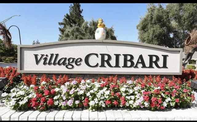 5235 Cribari, San Jose CA: https://media.crmls.org/mediaz/bf547889-0631-4c33-9971-e848e0244e63.jpg
