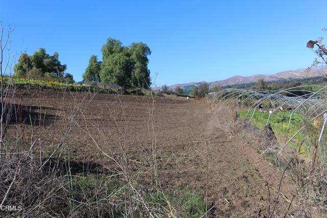 Detail Gallery Image 25 of 32 For 1672 E Los Angeles Ave, Somis,  CA 93066 - – Beds | – Baths