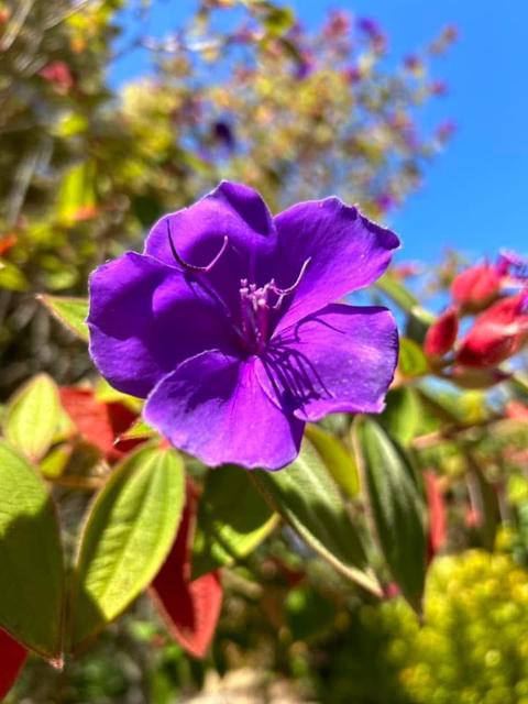 Image 14 of 24 For 520 Redwood Road