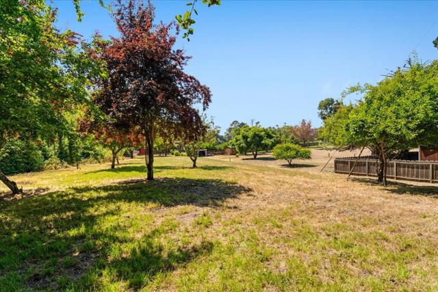 28120 Schulte Road, Carmel CA: https://media.crmls.org/mediaz/bf5cc935-5a45-4366-9a71-e1d840f2c5a6.jpg