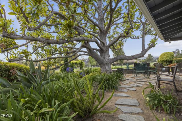 Detail Gallery Image 58 of 76 For 1361 Calle Aurora, Camarillo,  CA 93010 - 4 Beds | 3/1 Baths