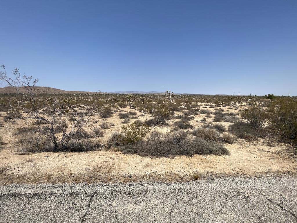MLS #219132715DA image #8