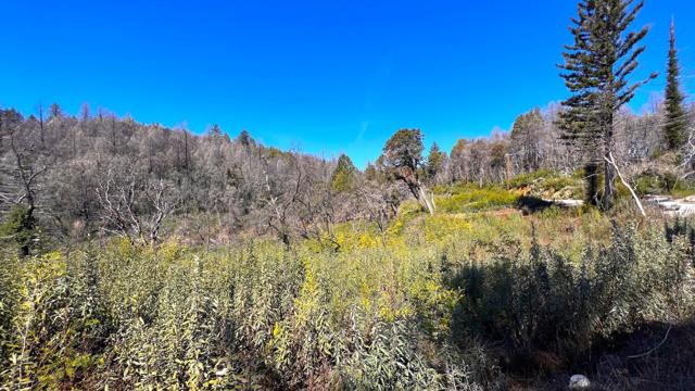 11035 Empire Grade, Santa Cruz CA: https://media.crmls.org/mediaz/bf6f4413-4c5e-4fe3-b527-534a4f226f68.jpg