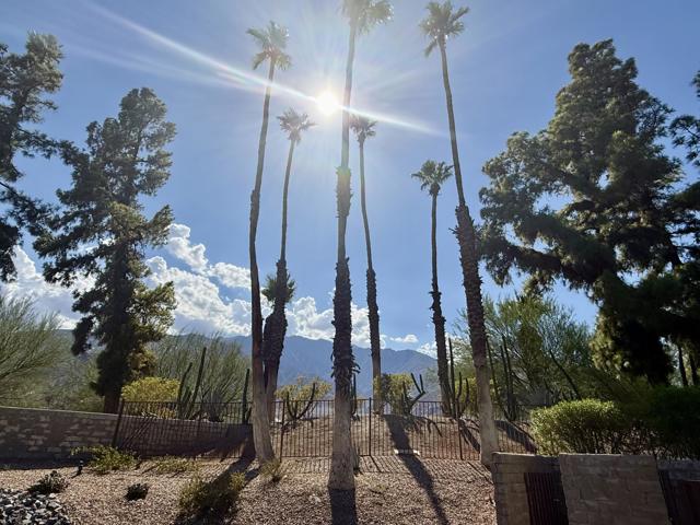 2875 N Los Felices Road, Palm Springs CA: https://media.crmls.org/mediaz/bf7177b4-9525-48ba-b400-e18b48f99b69.jpg