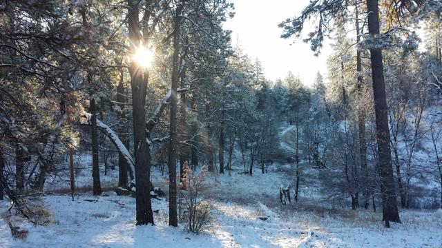 Detail Gallery Image 19 of 20 For Lot 516 El Centro Tract, Mount Laguna,  CA 91948 - 2 Beds | 1 Baths