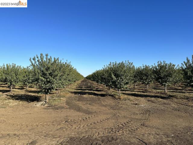 Listing Details for 23603 County Road 96, Woodland, CA 95695