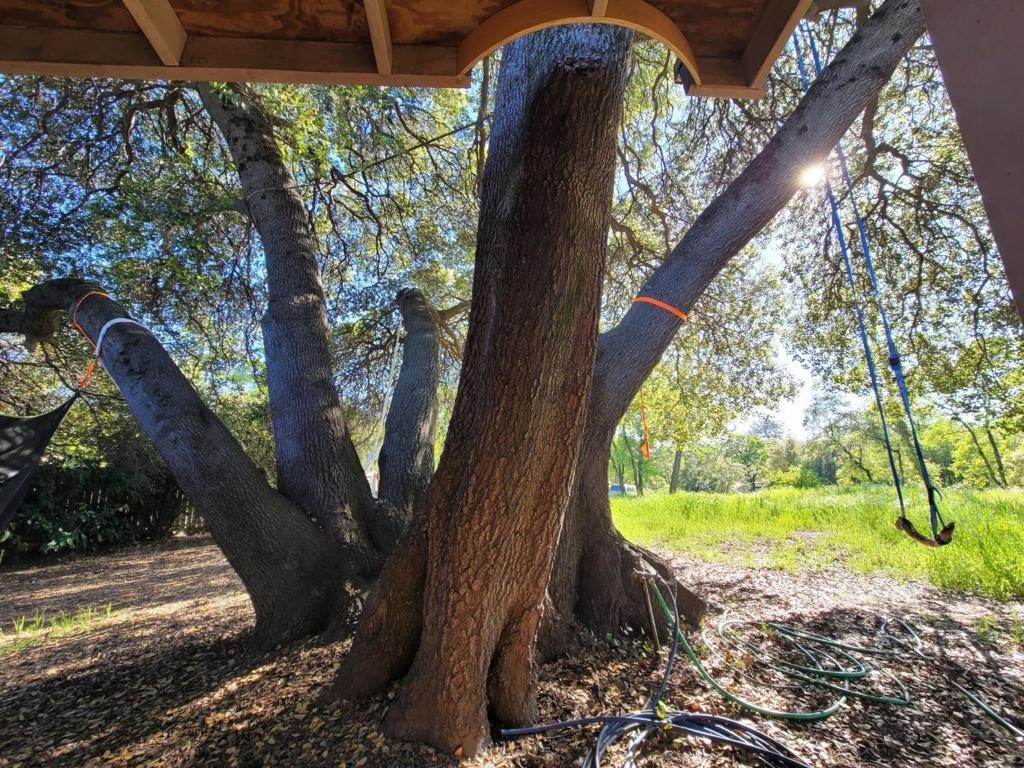 https://media.crmls.org/mediaz/bf75deee-f065-439f-b5b9-1d2b6e1cb260.jpg?preset=X-Large
