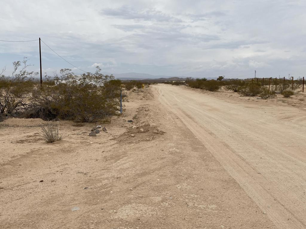 MLS #219134439DA image #4