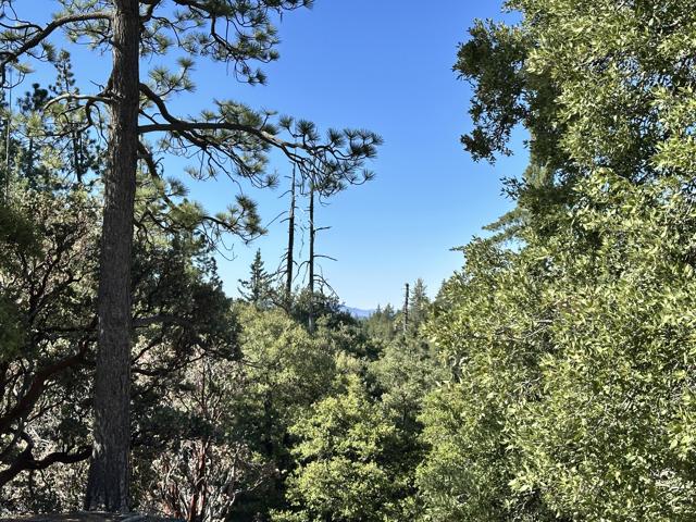 0 Mountain View, Idyllwild CA: https://media.crmls.org/mediaz/bf82becb-2259-451e-893f-1b77e75de751.jpg