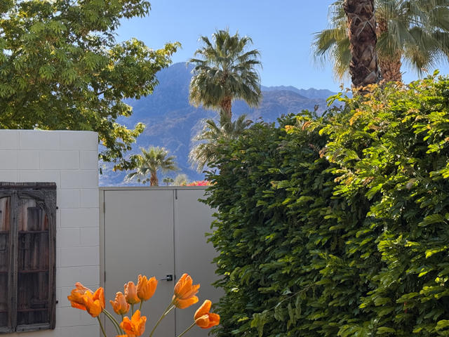 189 Desert Lakes Drive, Palm Springs CA: https://media.crmls.org/mediaz/bf87752e-b930-4789-a246-8af051d5727a.jpg