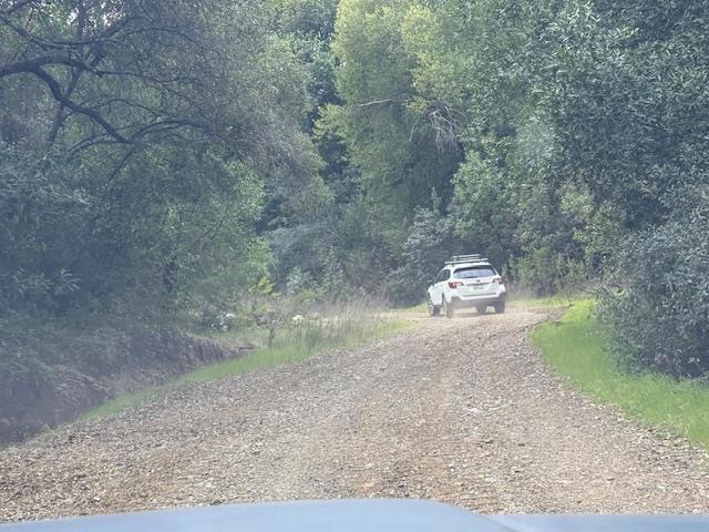 11 Little Uvas Road, Morgan Hill CA: https://media.crmls.org/mediaz/bf8aa762-1e24-4253-8bd8-155df852277f.jpg