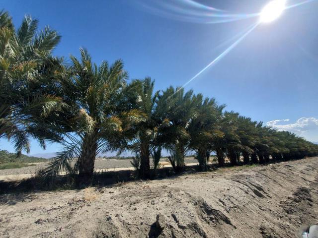 Image 4 of 8 For 0 Calhoun Street