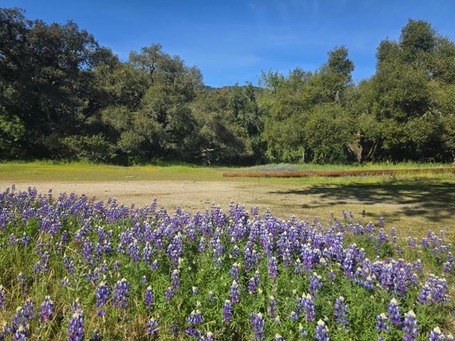16 SLEEPY HOLLOW DRIVE, Carmel Valley CA: https://media.crmls.org/mediaz/bf923d12-e9fb-44da-a8cc-6e5697eae603.jpg