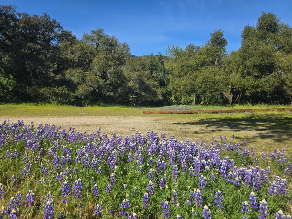 MLS #ML82001285 image #27